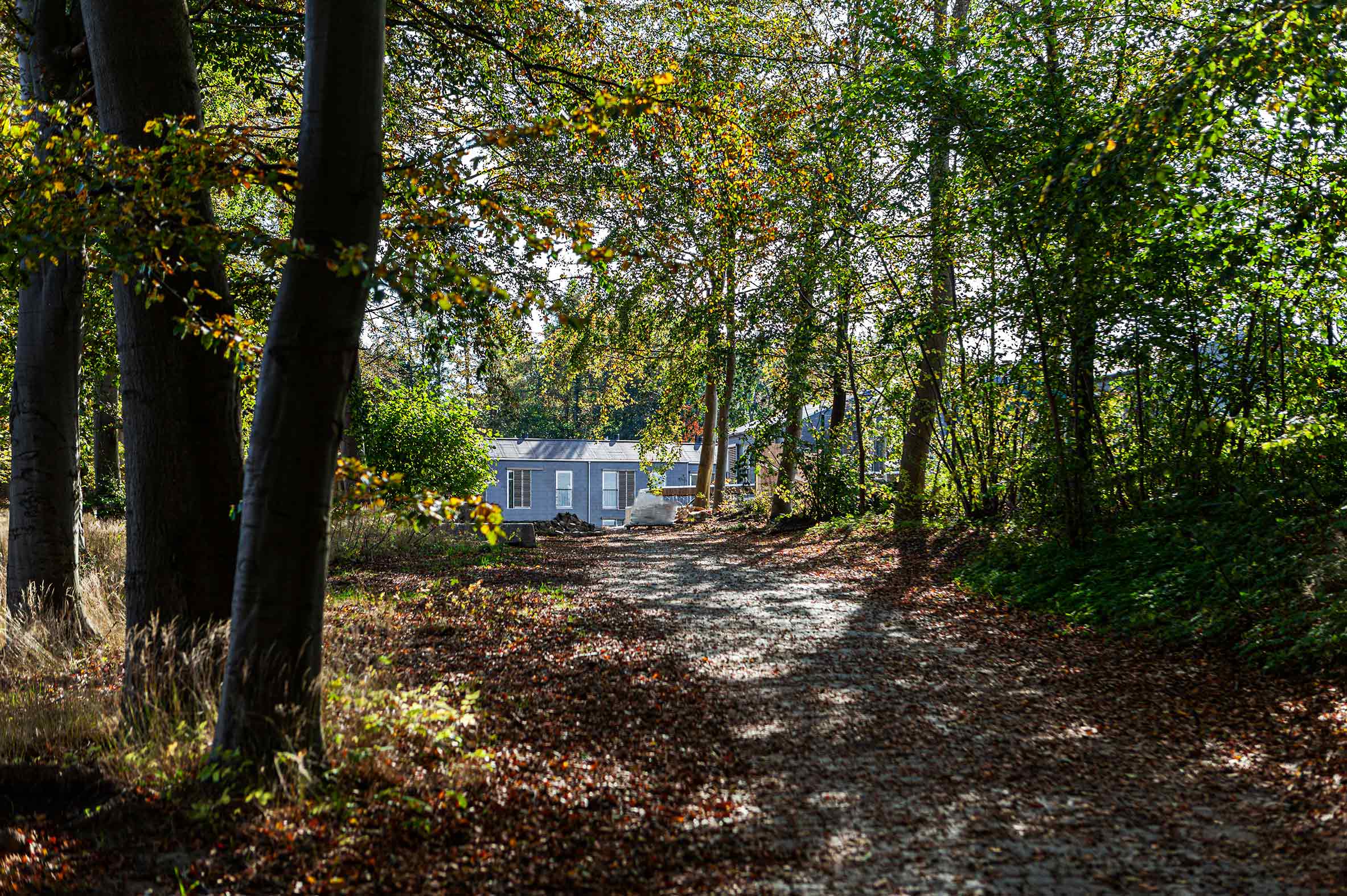 siteassets/_inspiration/naboskab/vedbak-park-skov-2366x1574.jpg